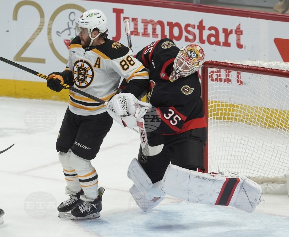 Goaltender Interference Hockey