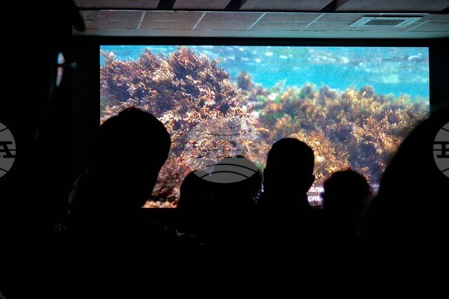 Бургас - „Аз, морето - Живот в мълчание" - кино - премиера