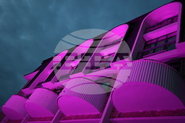 Благоевград - Международен ден за информираност за епилепсията