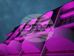 Благоевград - Международен ден за информираност за епилепсията