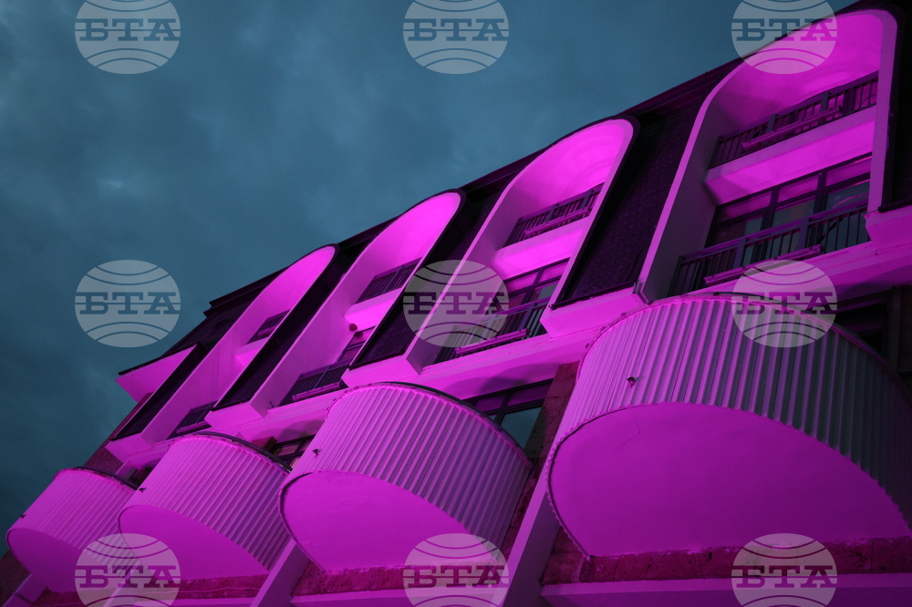 Благоевград - Международен ден за информираност за епилепсията