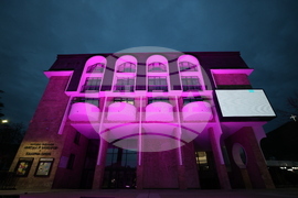 Благоевград - Международен ден за информираност за епилепсията