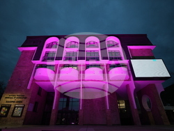 Благоевград - Международен ден за информираност за епилепсията