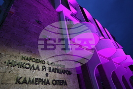 Благоевград - Международен ден за информираност за епилепсията