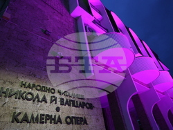 Благоевград - Международен ден за информираност за епилепсията