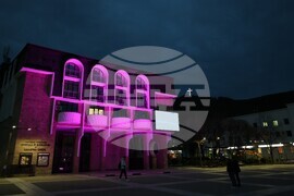 Благоевград - Международен ден за информираност за епилепсията