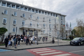 Стара Загора - протест - насилие над животни