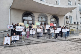 Стара Загора - протест - насилие над животни
