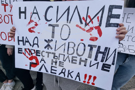Стара Загора - протест - насилие над животни