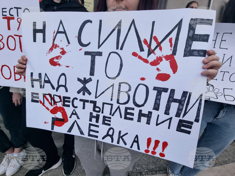 Стара Загора - протест - насилие над животни