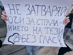 Стара Загора - протест - насилие над животни