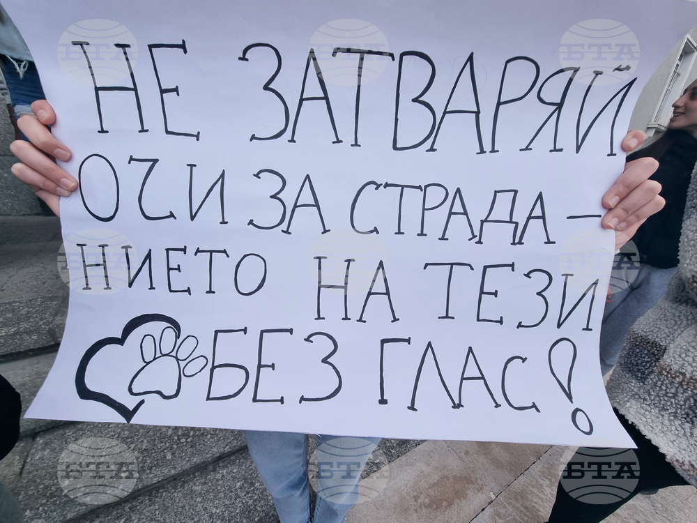 Стара Загора - протест - насилие над животни