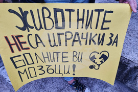 Стара Загора - протест - насилие над животни