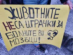 Стара Загора - протест - насилие над животни