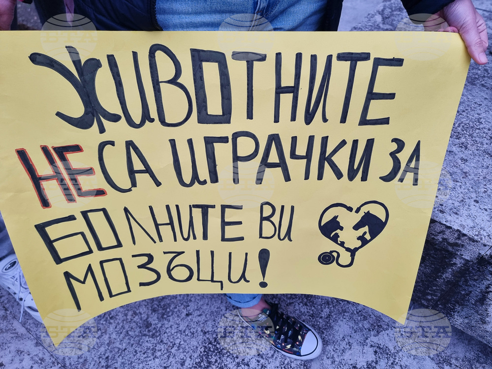 Стара Загора - протест - насилие над животни