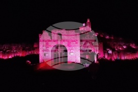 Велико Търново - Световен ден за информираност за епилепсията