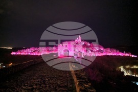 Велико Търново - Световен ден за информираност за епилепсията