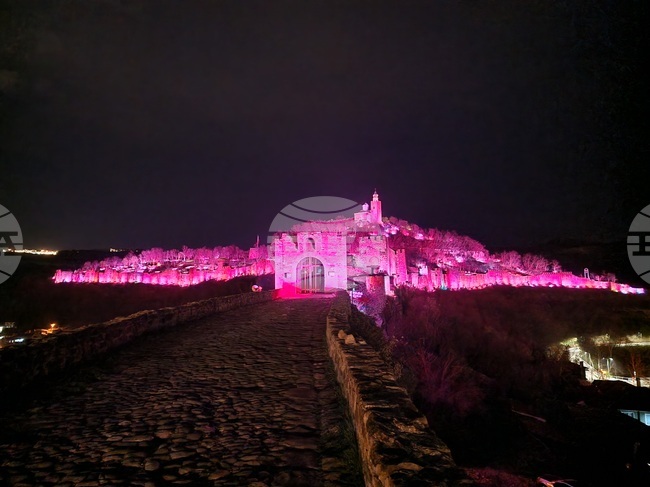 Велико Търново - Световен ден за информираност за епилепсията