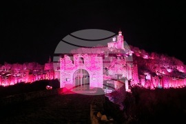 Велико Търново - Световен ден за информираност за епилепсията