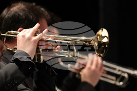 Русе - Мартенски музикални дни