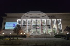 Пловдив - Световен ден за информираност за епилепсия - инициатива