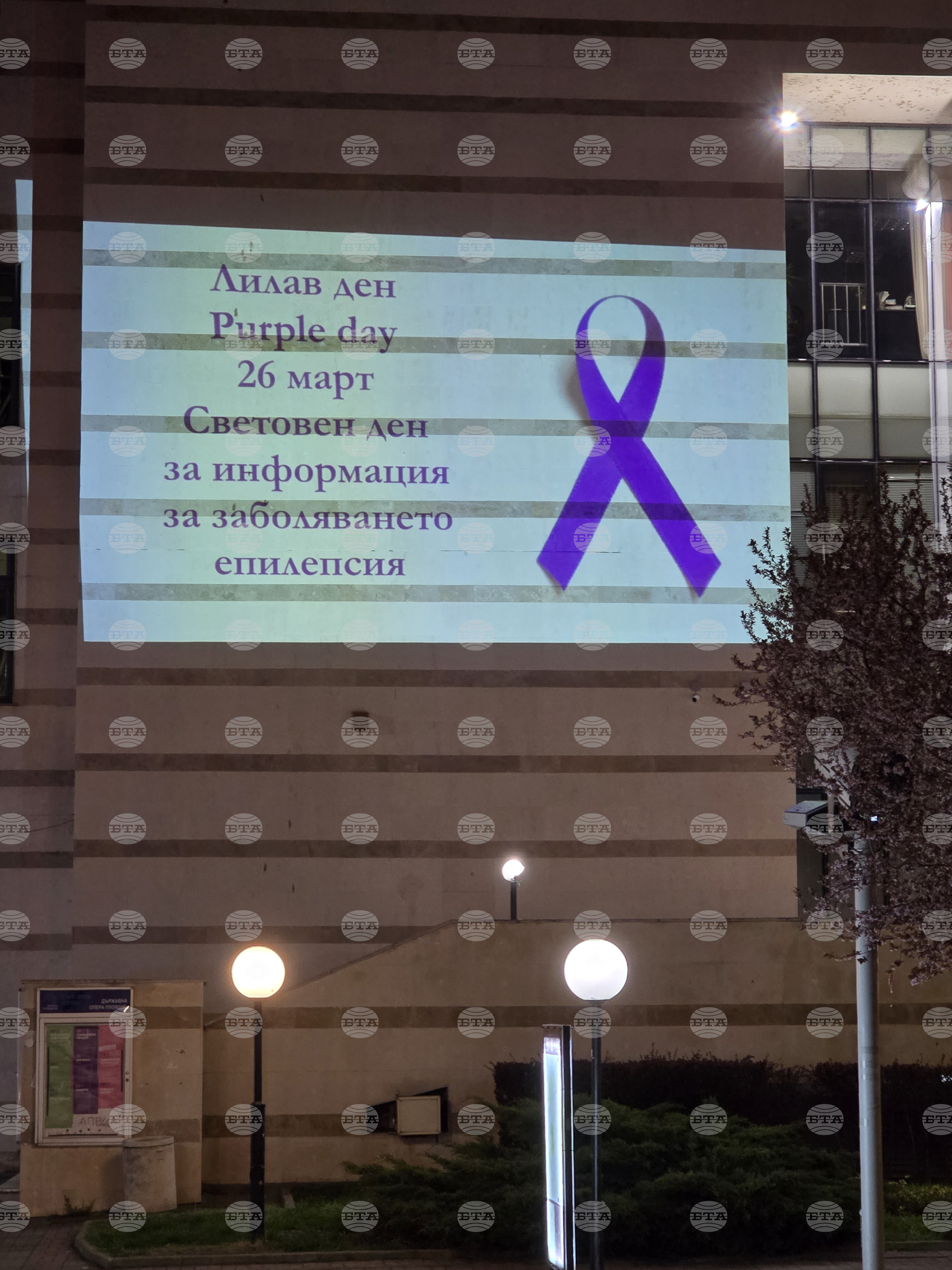 Пловдив - Световен ден за информираност за епилепсия - инициатива
