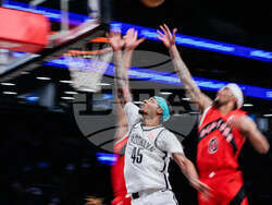 Raptors Nets Basketball