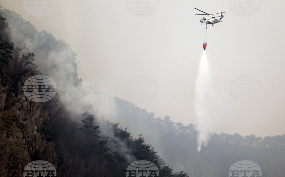South Korea Wildfires