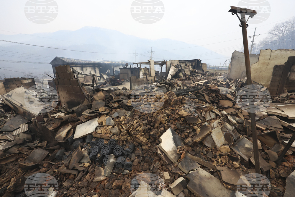 South Korea Wildfires