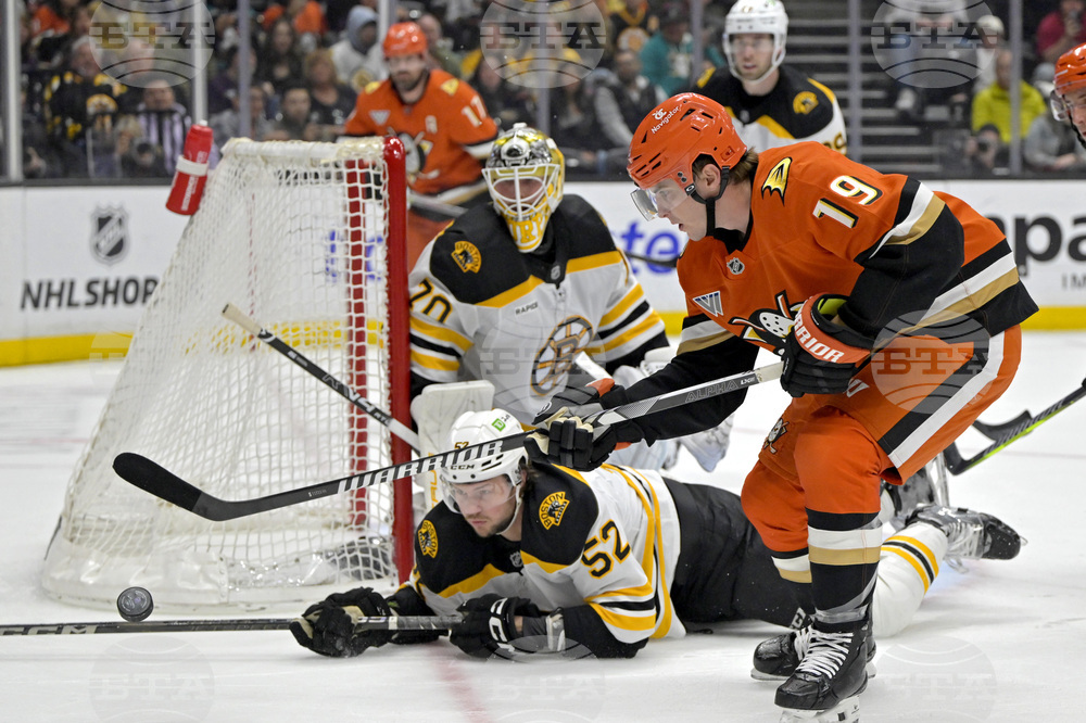 Bruins Ducks Hockey