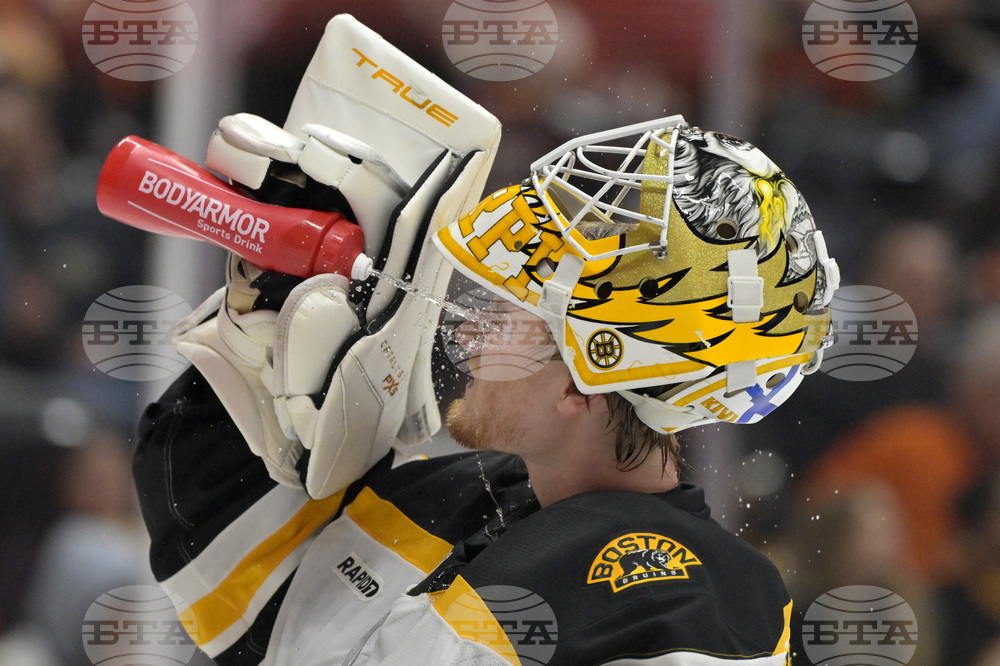 Bruins Ducks Hockey