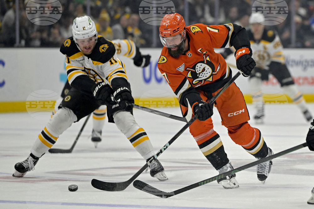 Bruins Ducks Hockey