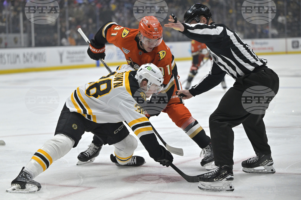 Bruins Ducks Hockey