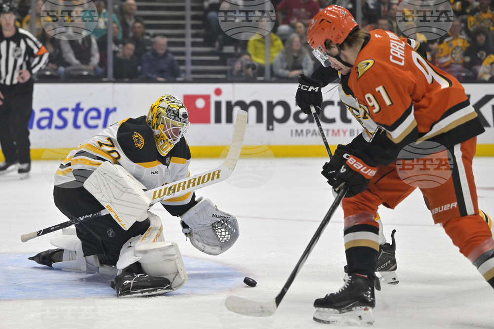 Bruins Ducks Hockey