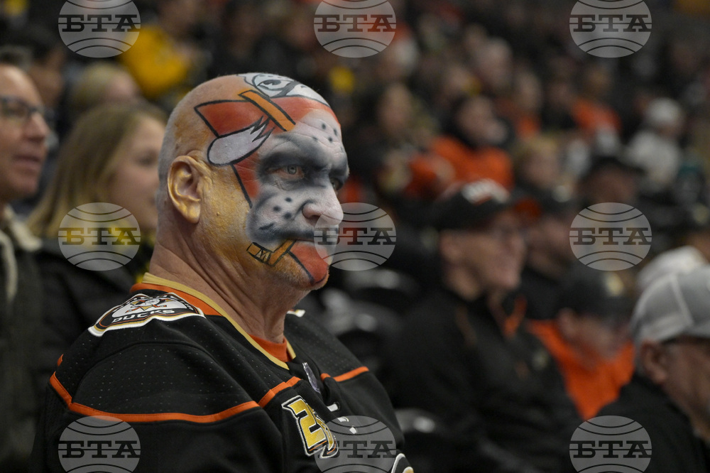 Bruins Ducks Hockey