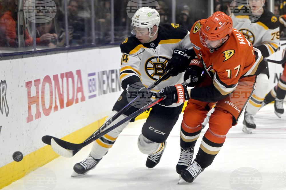 Bruins Ducks Hockey