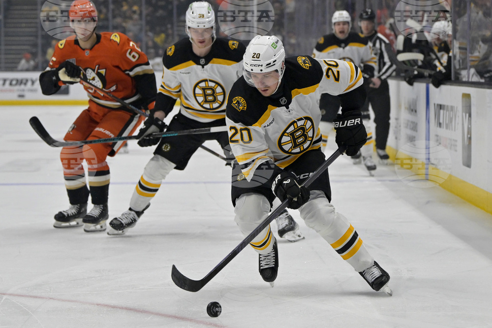 Bruins Ducks Hockey