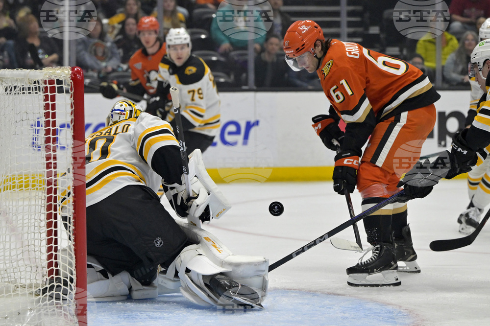 Bruins Ducks Hockey