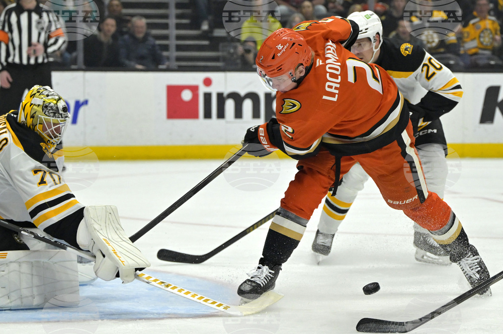 Bruins Ducks Hockey