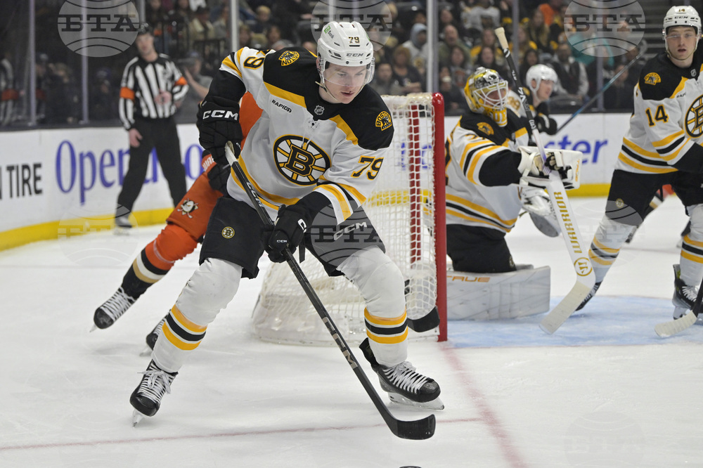 Bruins Ducks Hockey