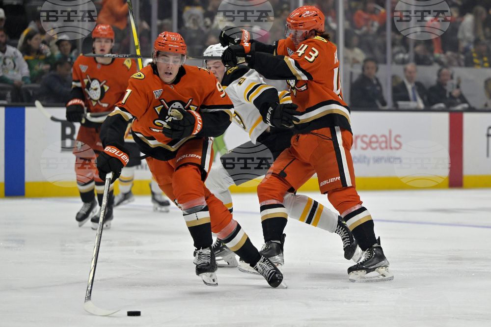 Bruins Ducks Hockey