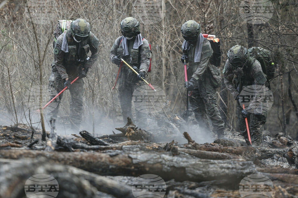South Korea Wildfires