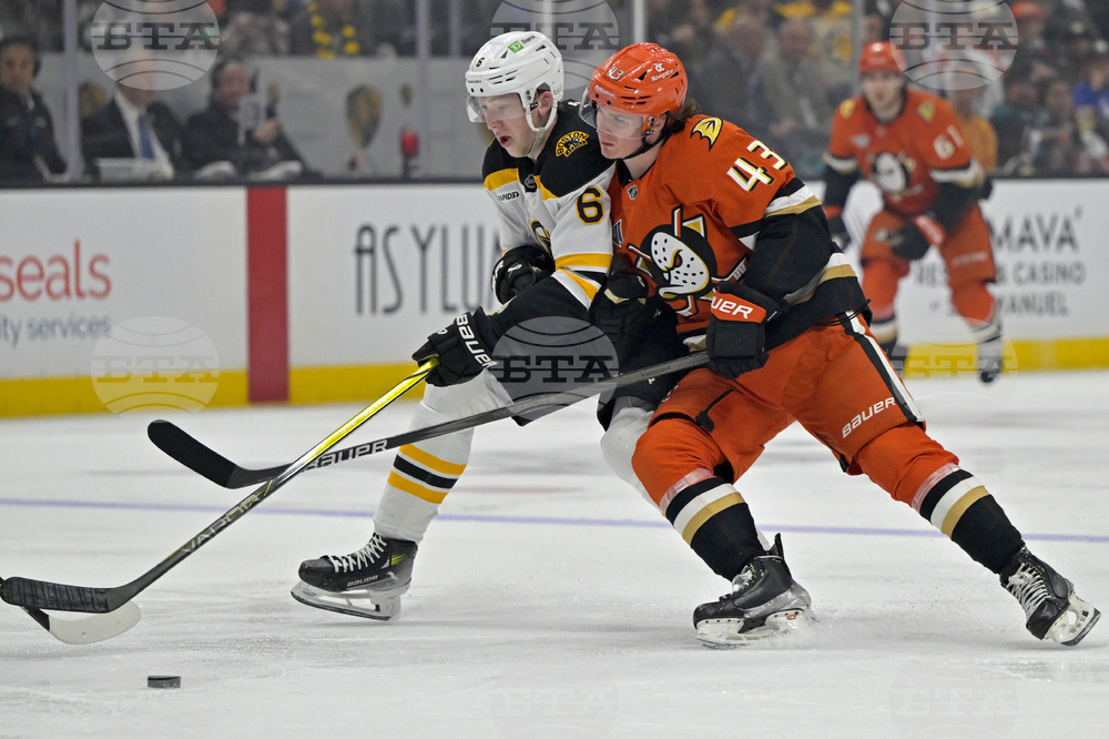 Bruins Ducks Hockey