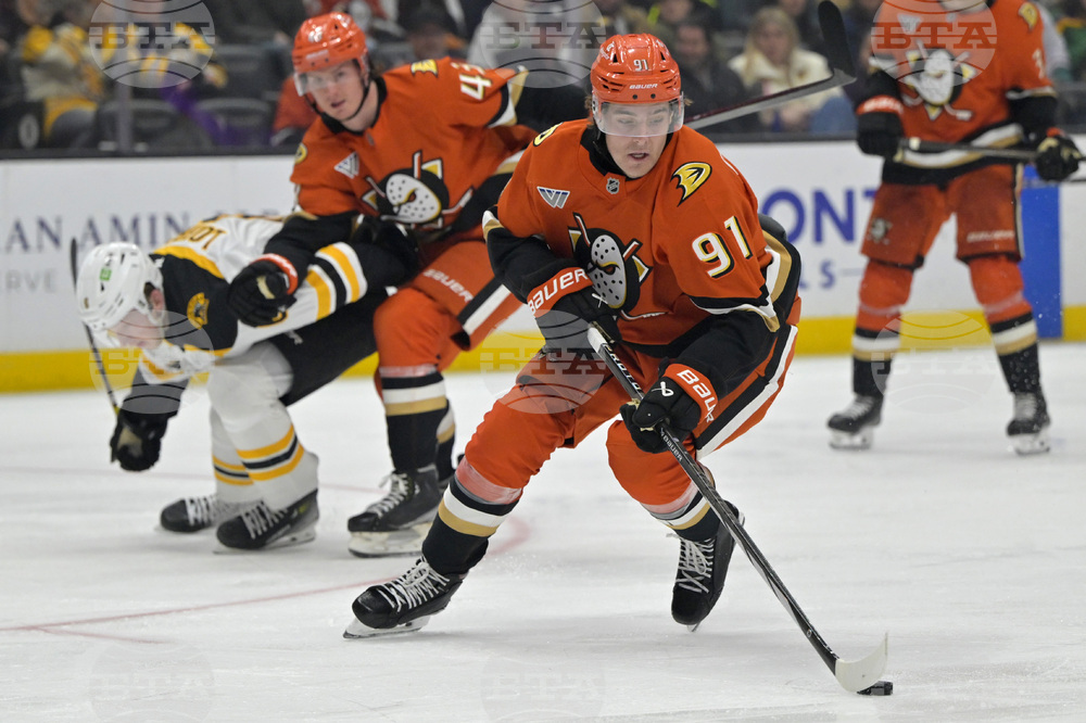 Bruins Ducks Hockey