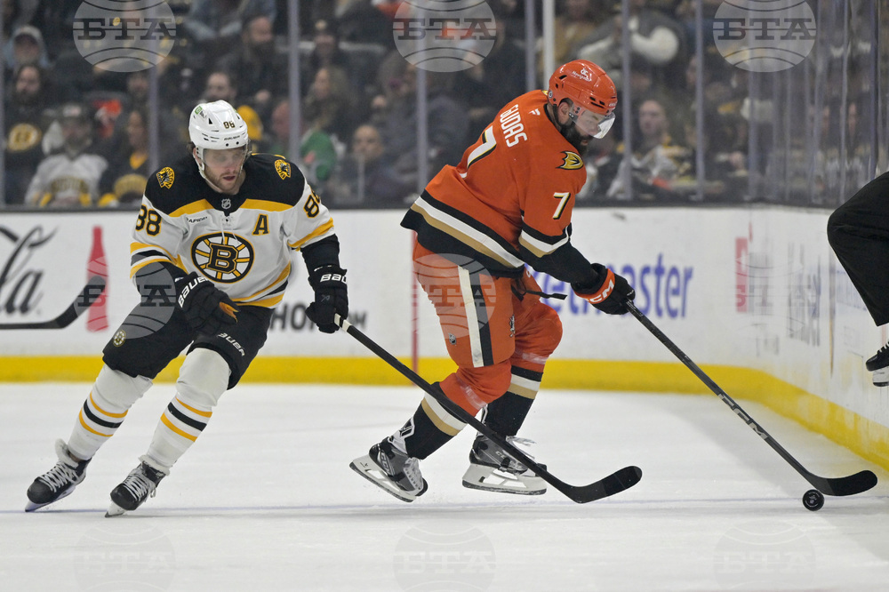 Bruins Ducks Hockey