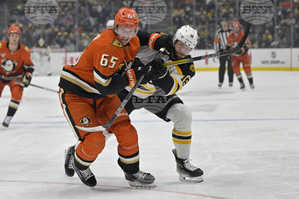 Bruins Ducks Hockey