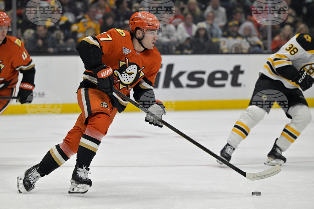 Bruins Ducks Hockey