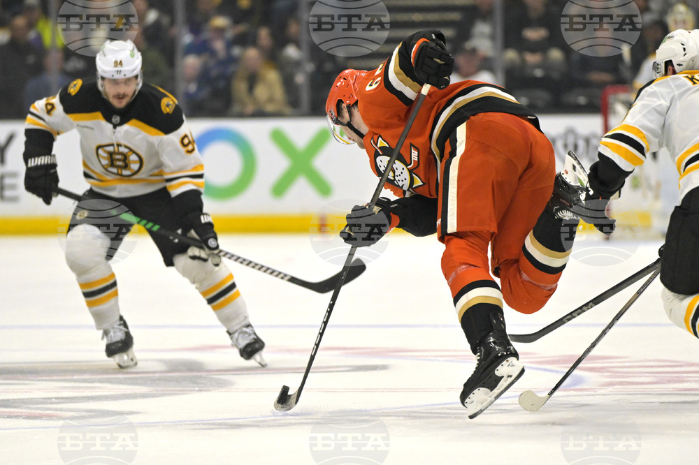 Bruins Ducks Hockey