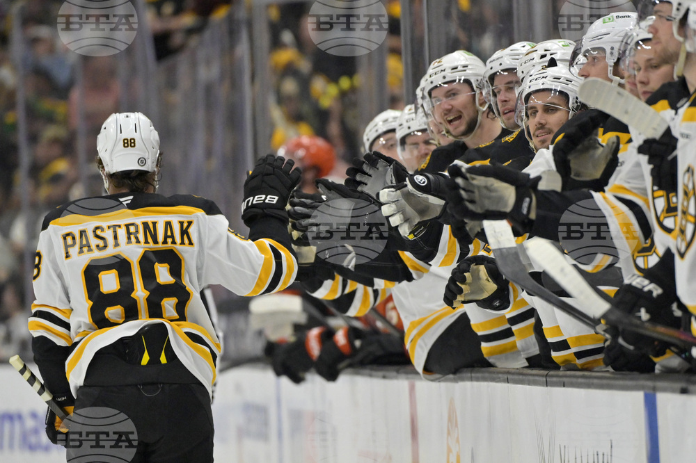 Bruins Ducks Hockey