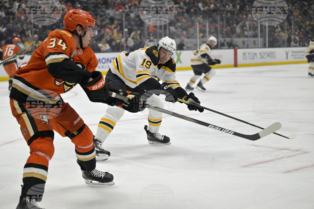 Bruins Ducks Hockey